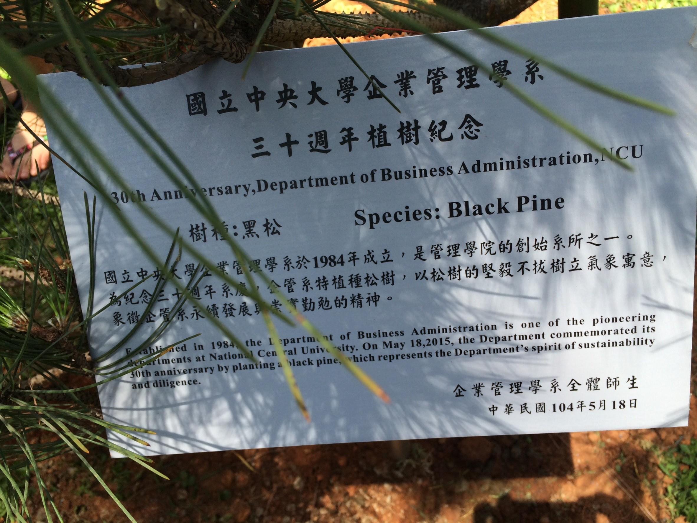 專訪洪秀婉教授：回首四十年的時光是基石，展望百年的目標是決心，中央企管再創不凡榮耀！ 4