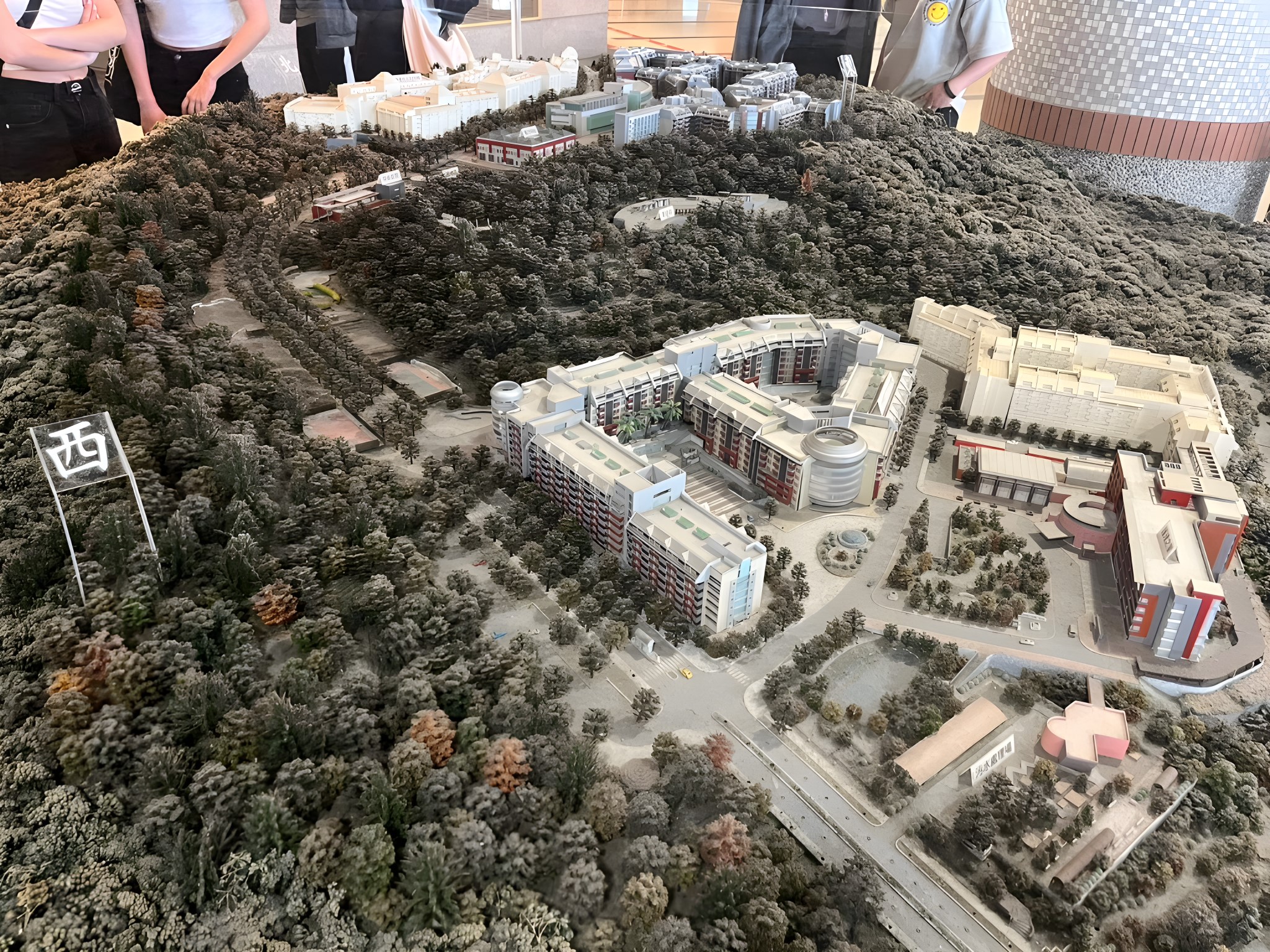 長庚養生文化村：銀髮族的樂齡新天地 2